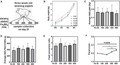 Responses of Intestinal Microbiota and Immunity to Increasing Dietary Levels of Iron Using a Piglet Model